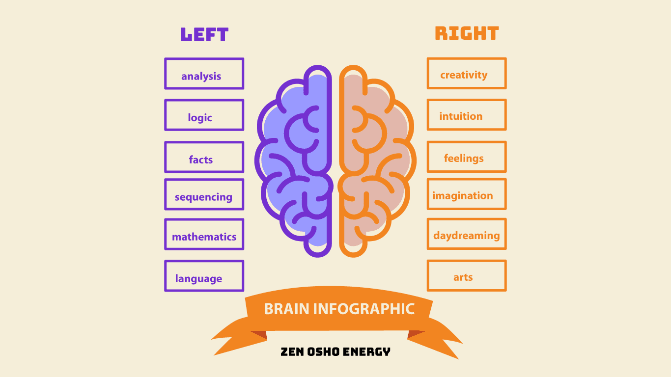 Brain-infographics_Zen Osho Energy